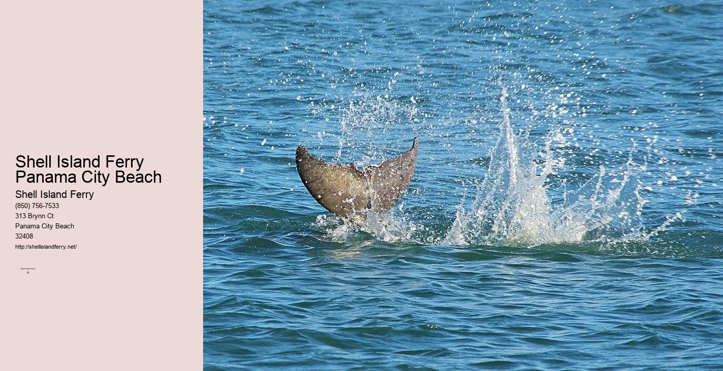 Shell Island Boat Tours Panama City Beach Fl	