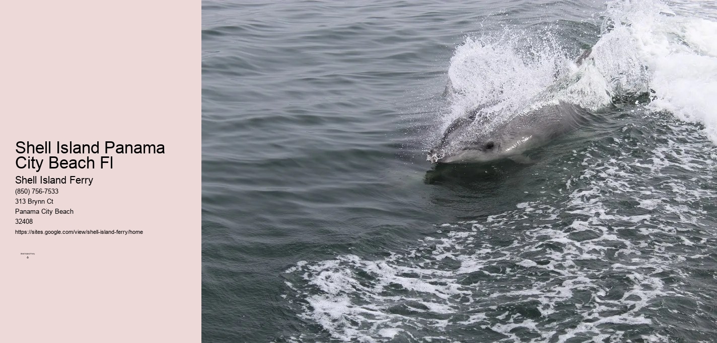 Shell Island Panama City Beach Fl