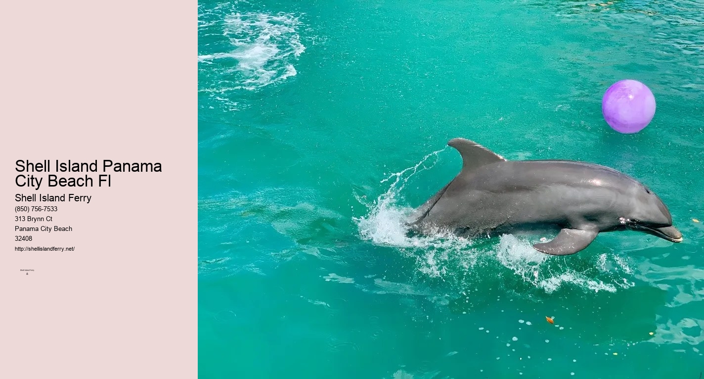 Shell Island Shuttle Panama City Beach Florida	