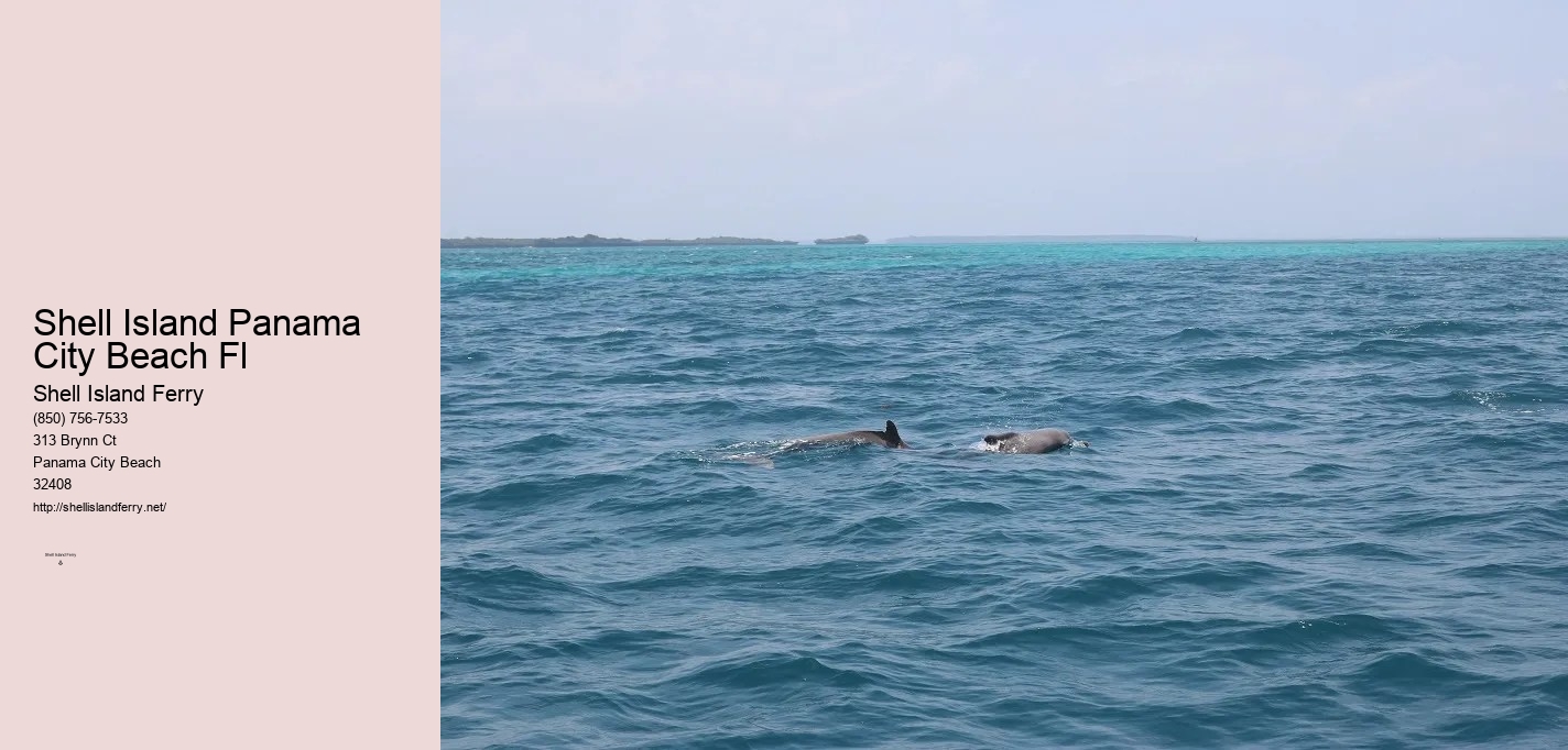 Shell Island Pontoon Rental	