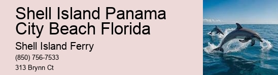 Shell Island Dolphin Tours	