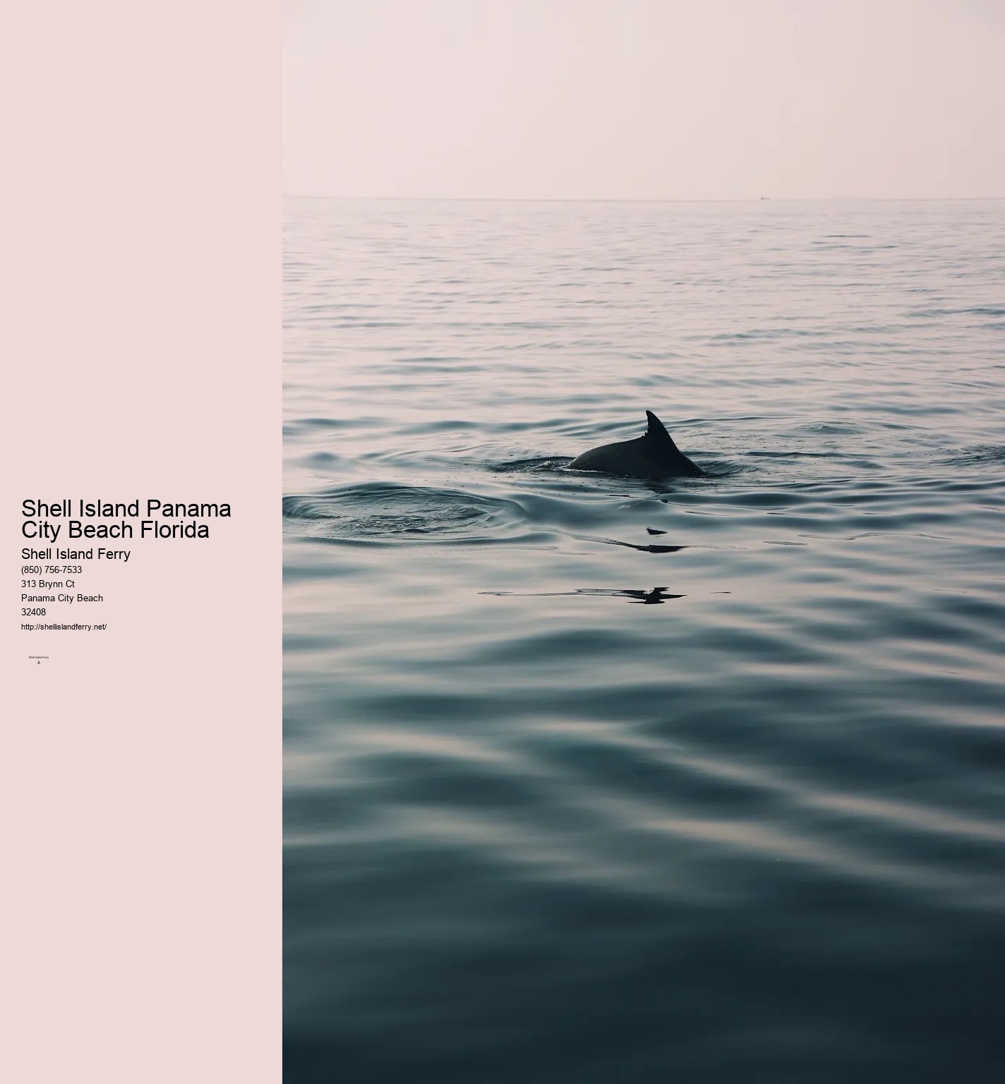 Shell Island Boat Tours Panama City Beach Fl	