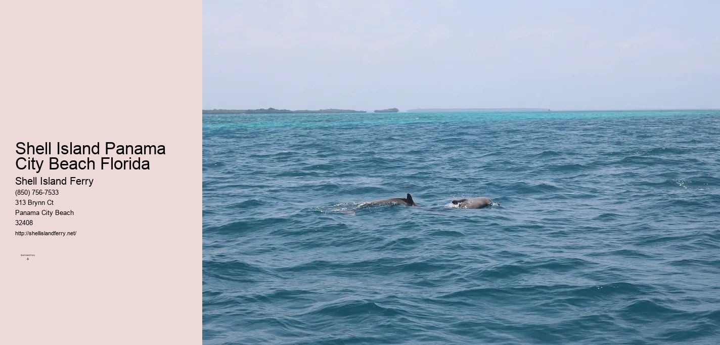 Shell Island Panama City Beach Fl	