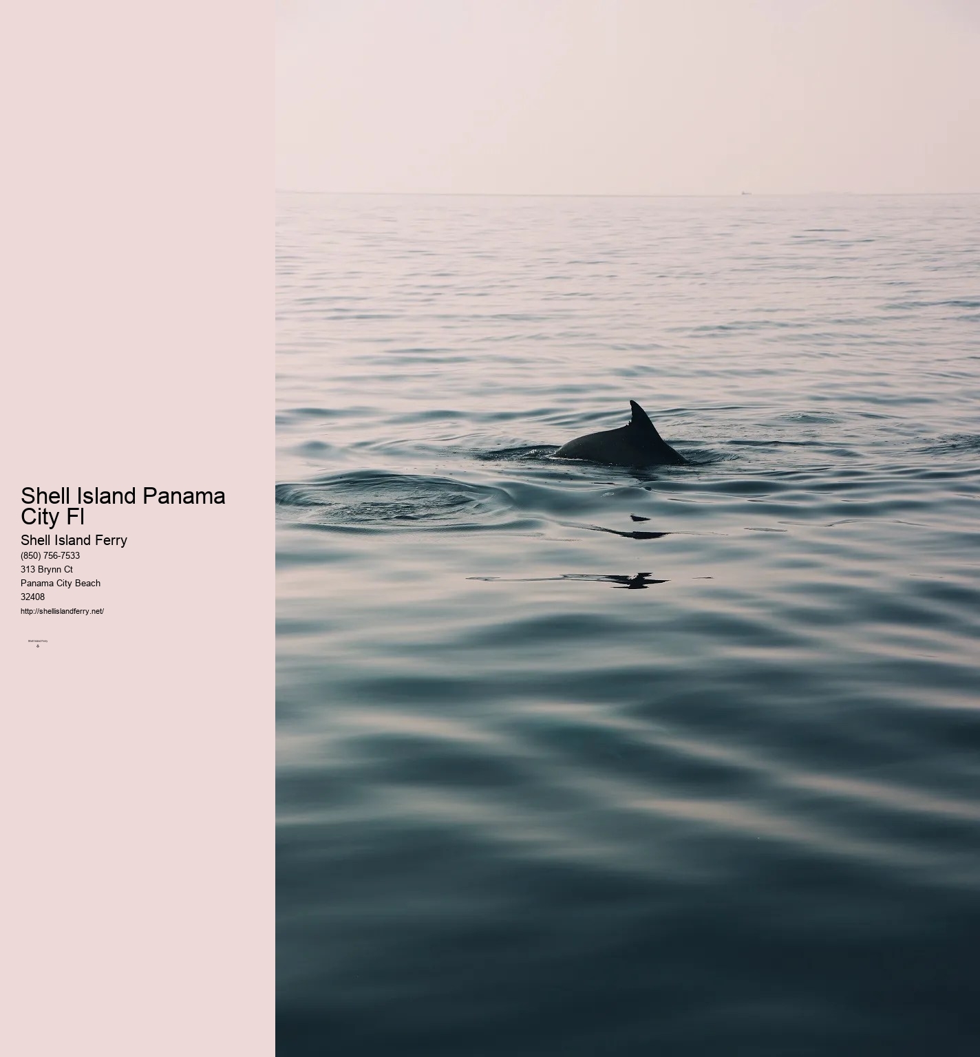 Shell Island Ferry Panama City Beach	