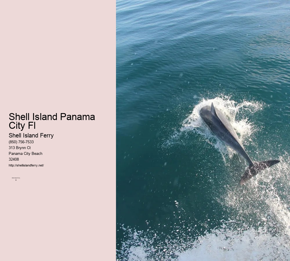 Shell Island Pontoon Rental	