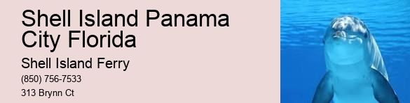 Shell Island Adventures	