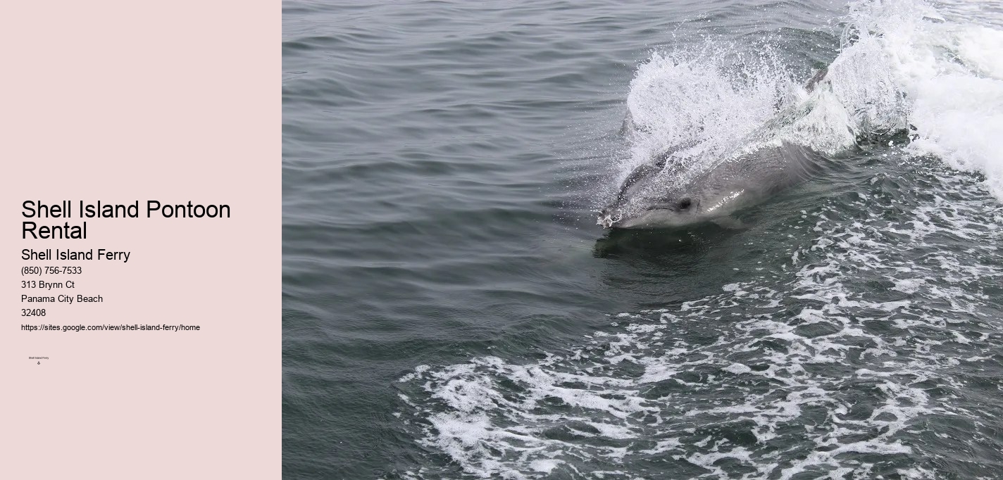 Shell Island Pontoon Rental