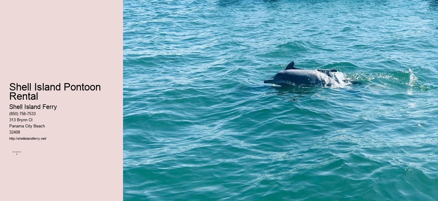 Shell Island Boat Rentals Panama City Beach Fl	