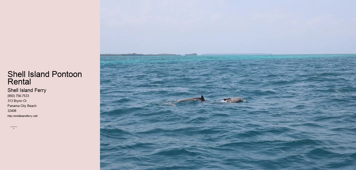 Shell Island Panama City Beach Fl	