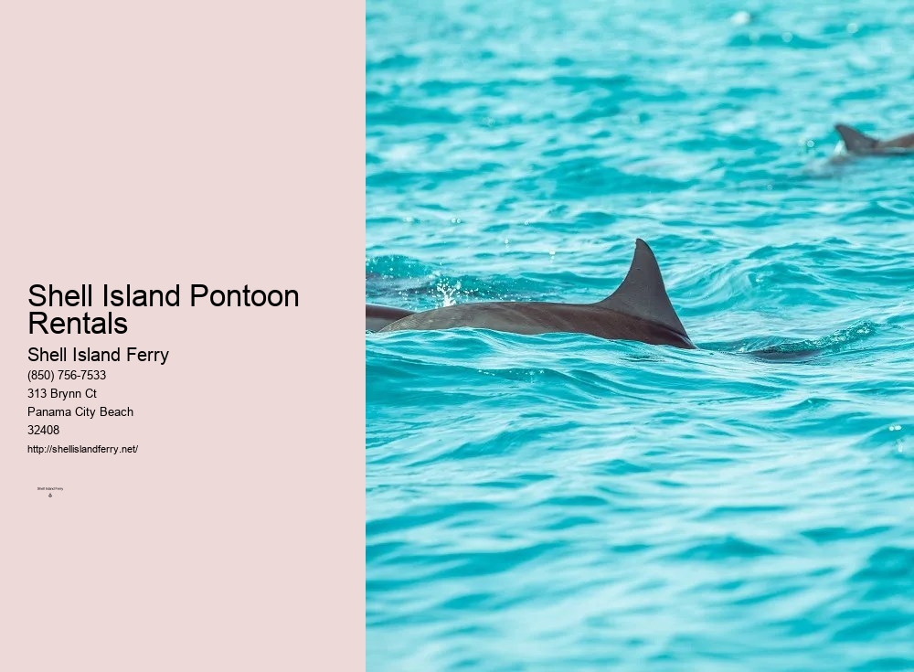 Shell Island Shuttle Panama City Beach Florida	