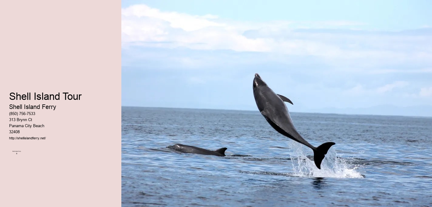 Shell Island Panama City Fl	