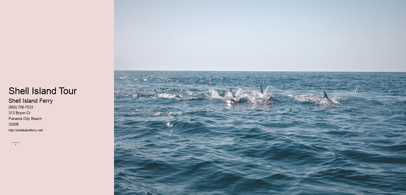 Shell Island Pontoon Rental	