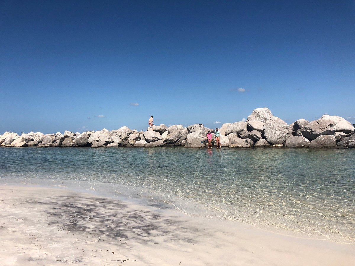 Why are there no seashells in Destin