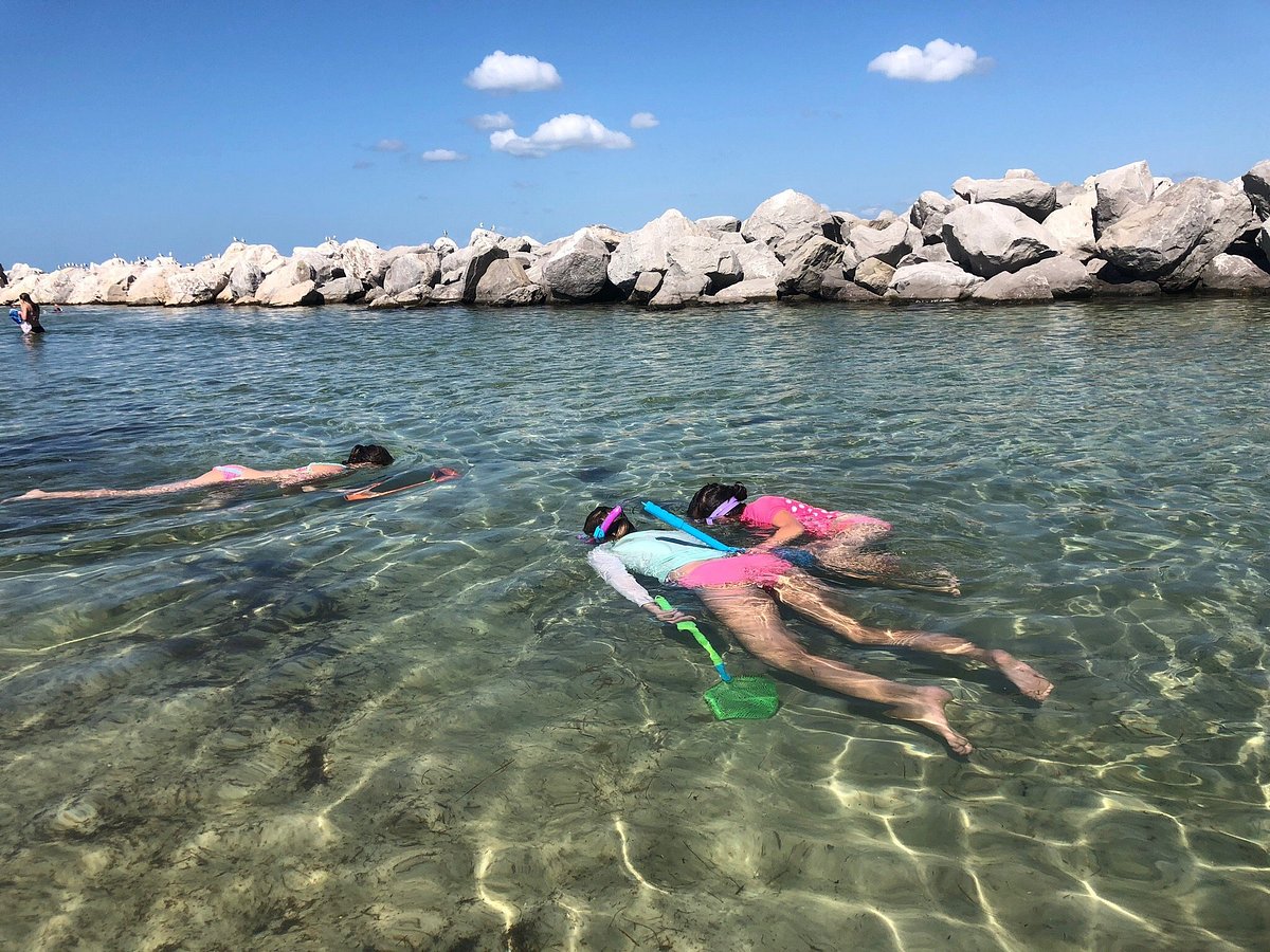 Shell Island Water Taxi Venice