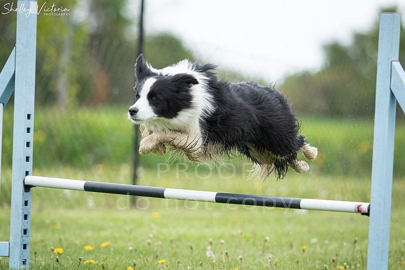 DOC Fun Match May 24 - 25