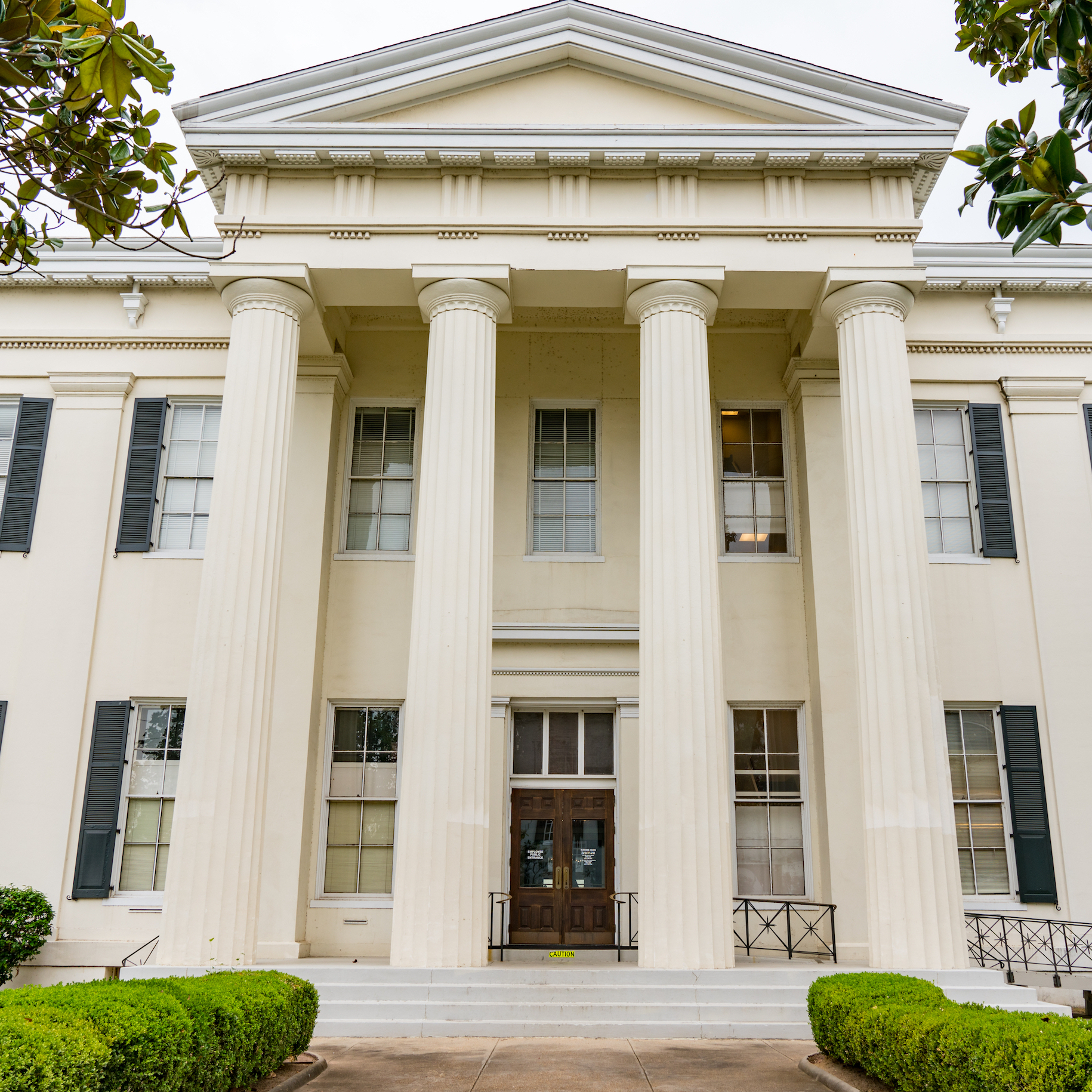 jackson city hall copy