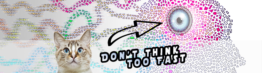Don’t Think Too Fast: How to improve your everyday decision-making process?