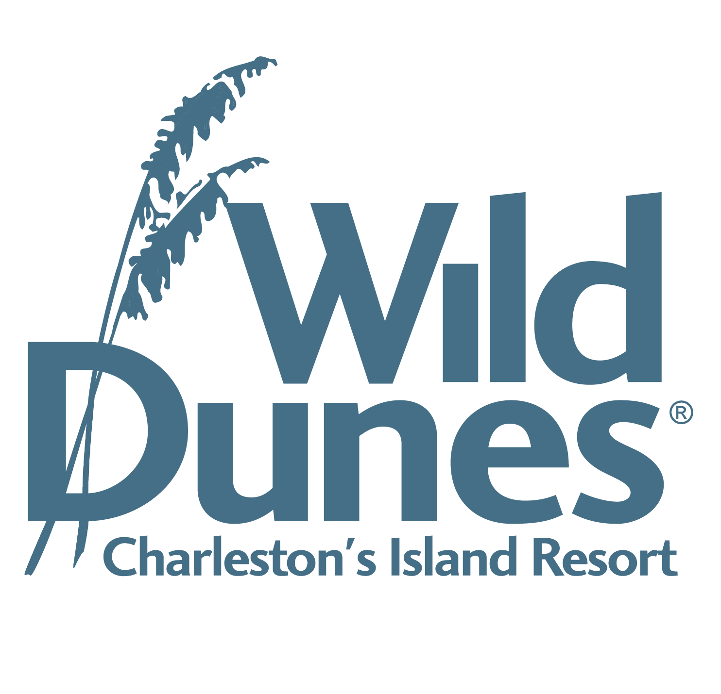 Wild Dunes Resort Hotel's Logo