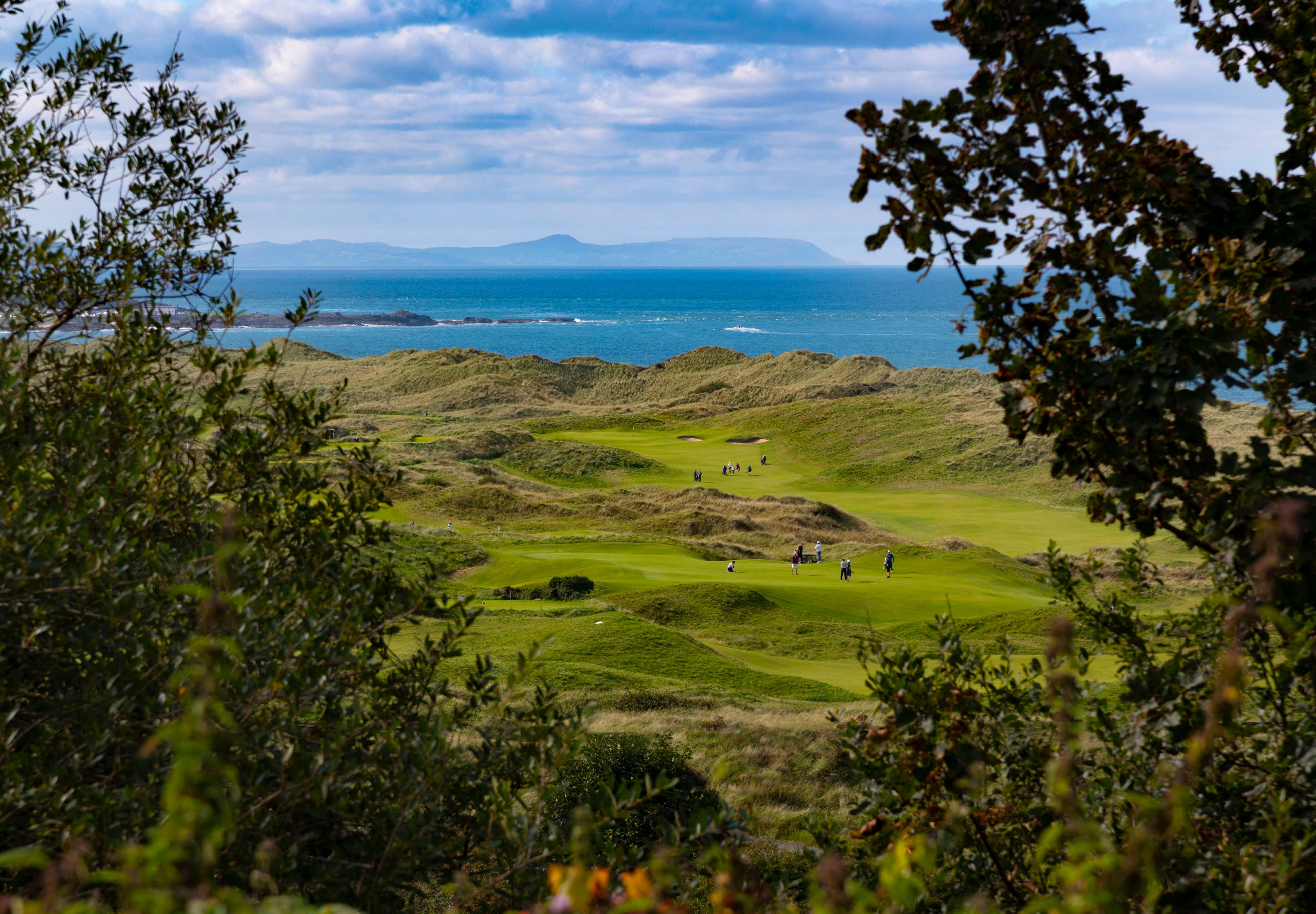 Ireland-dreamgolfgetaway-terms's Logo
