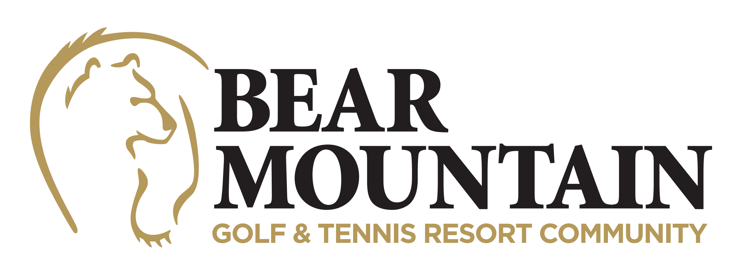 Bear Mountain's Logo