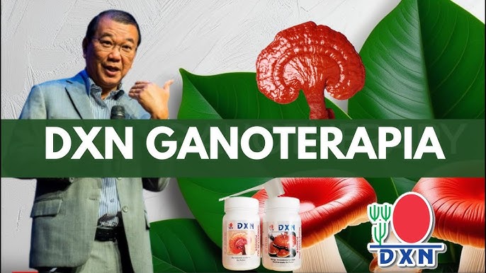 🌿 Ganoterapia: Qué Es, Beneficios Reales y Por Qué Deberías Consumirla Todos los Días