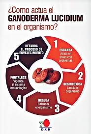 🌿 Beneficios del Ganoderma de DXN: Para Qué Sirve, Cómo Consumirlo y Por Qué Afiliarte Hoy .