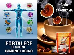 🌿 ¿Cómo Actúa el Ganoderma de DXN en el Sistema Inmunológico?