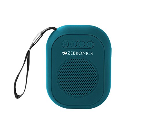zebronics induction speaker