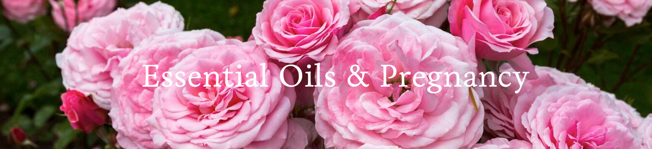 Essential Oils And Pregnancy