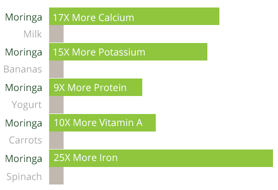 Moringa Powder Nutrient Comparison