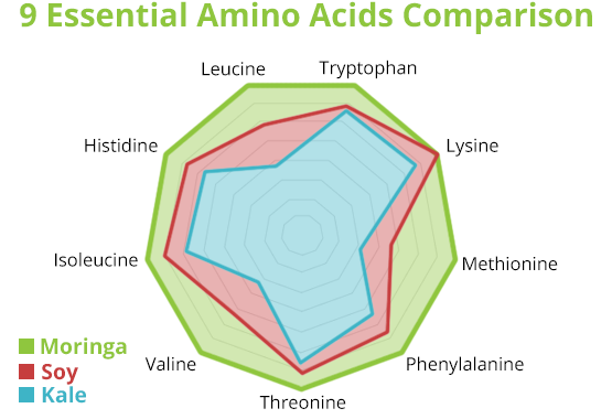Moringa Amino Acid Comparison vs Soy and Kale