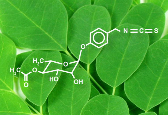 Moringinine Moringa Antioxidant Compound