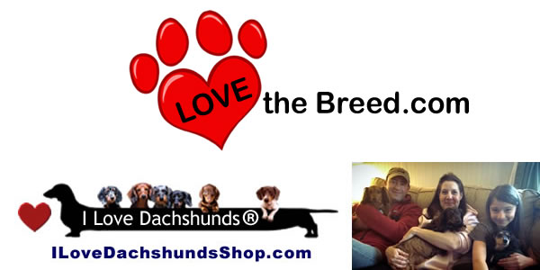 I Love Dachshunds and Love The Breed