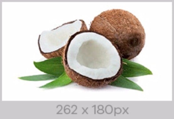 Image Size 262 x 180px