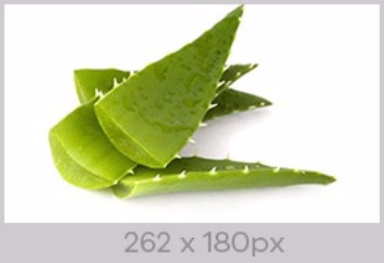 Image Size 262 x 180px