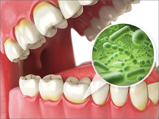 mouth, teeth, oral cavity, bacteria, oral health