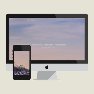 Setup and theme customisation for experimental recycled jewellery brand