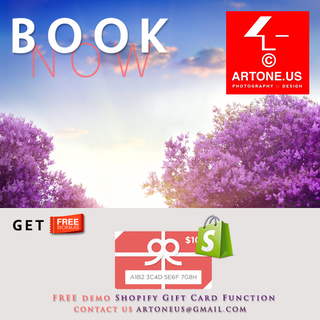 ARTONE.US :: Shopify Expert