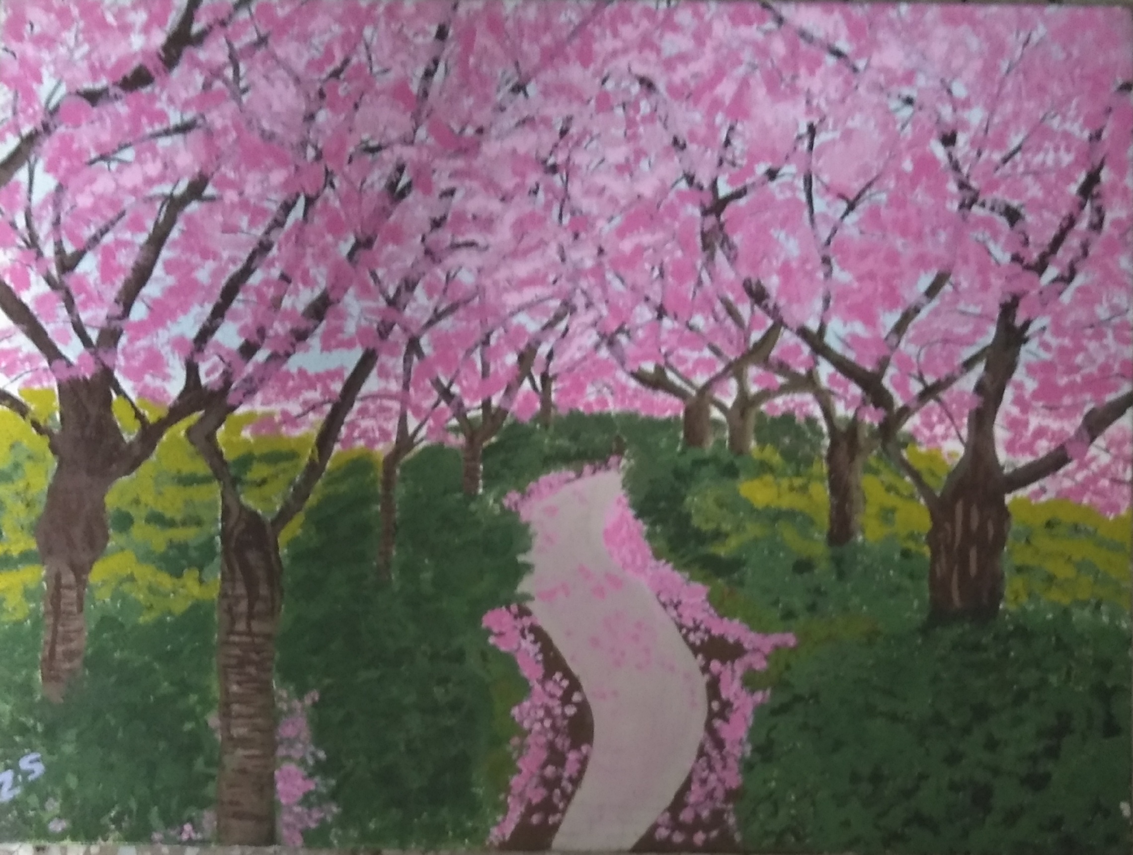 Sakura -paintings by Zeba Shaikh 