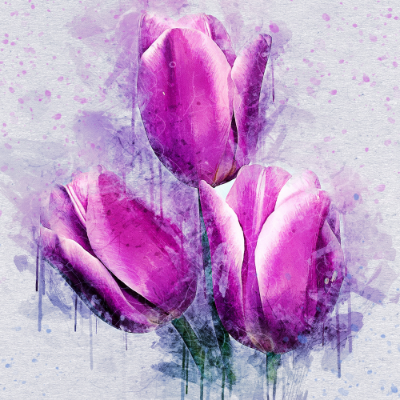 Digital Tulip-illustration