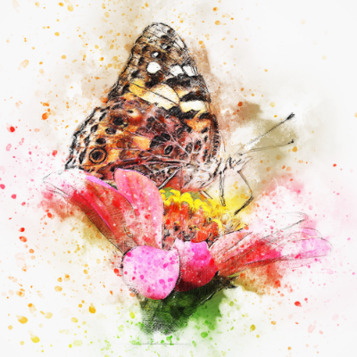 Monarch Butterfly On A Flower-illustration