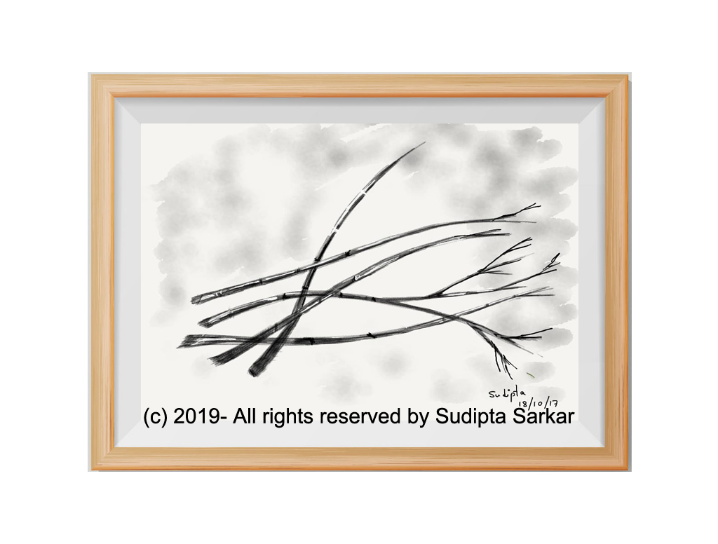 Buy Original Digital Art Gallery Online Digital Art for Sale.