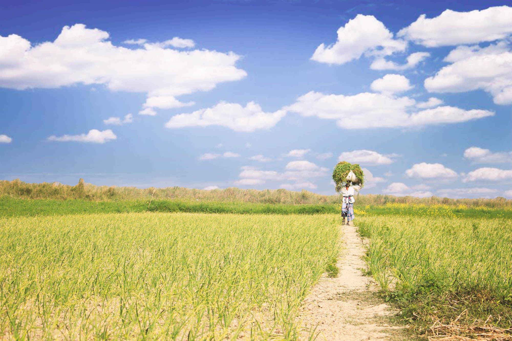 Beautiful Bangladesh-photography