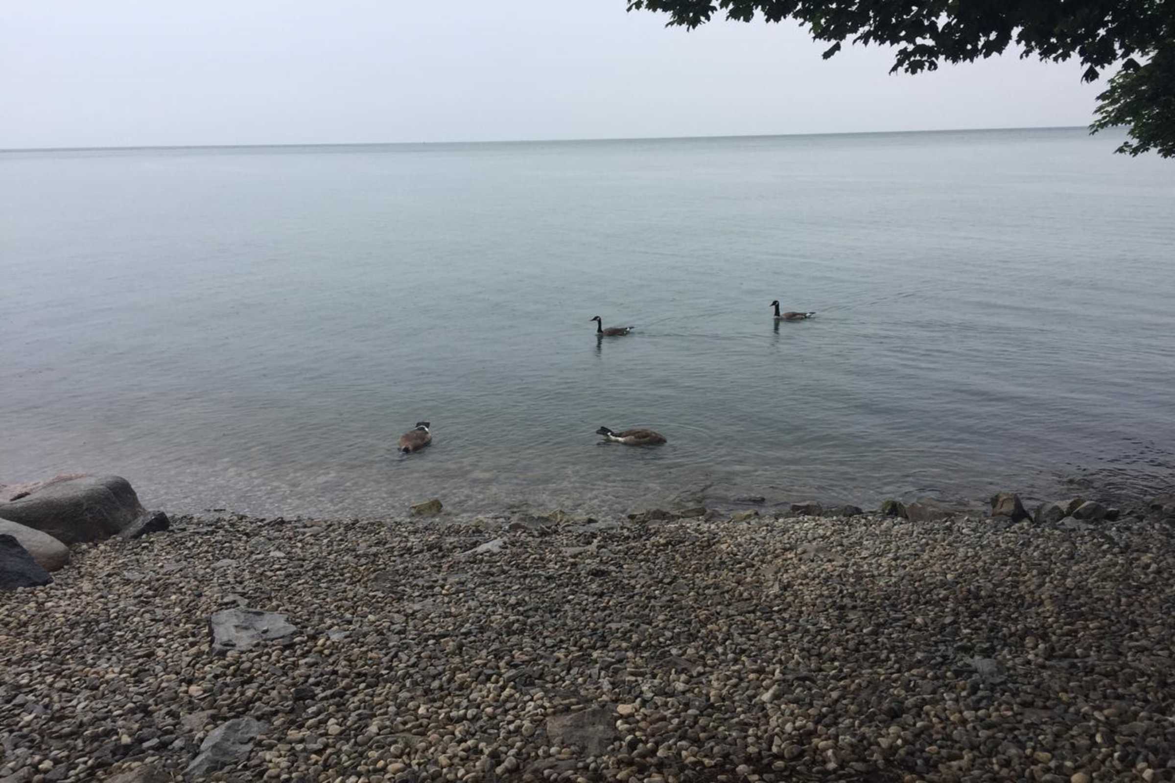 Buy Digital Art Online