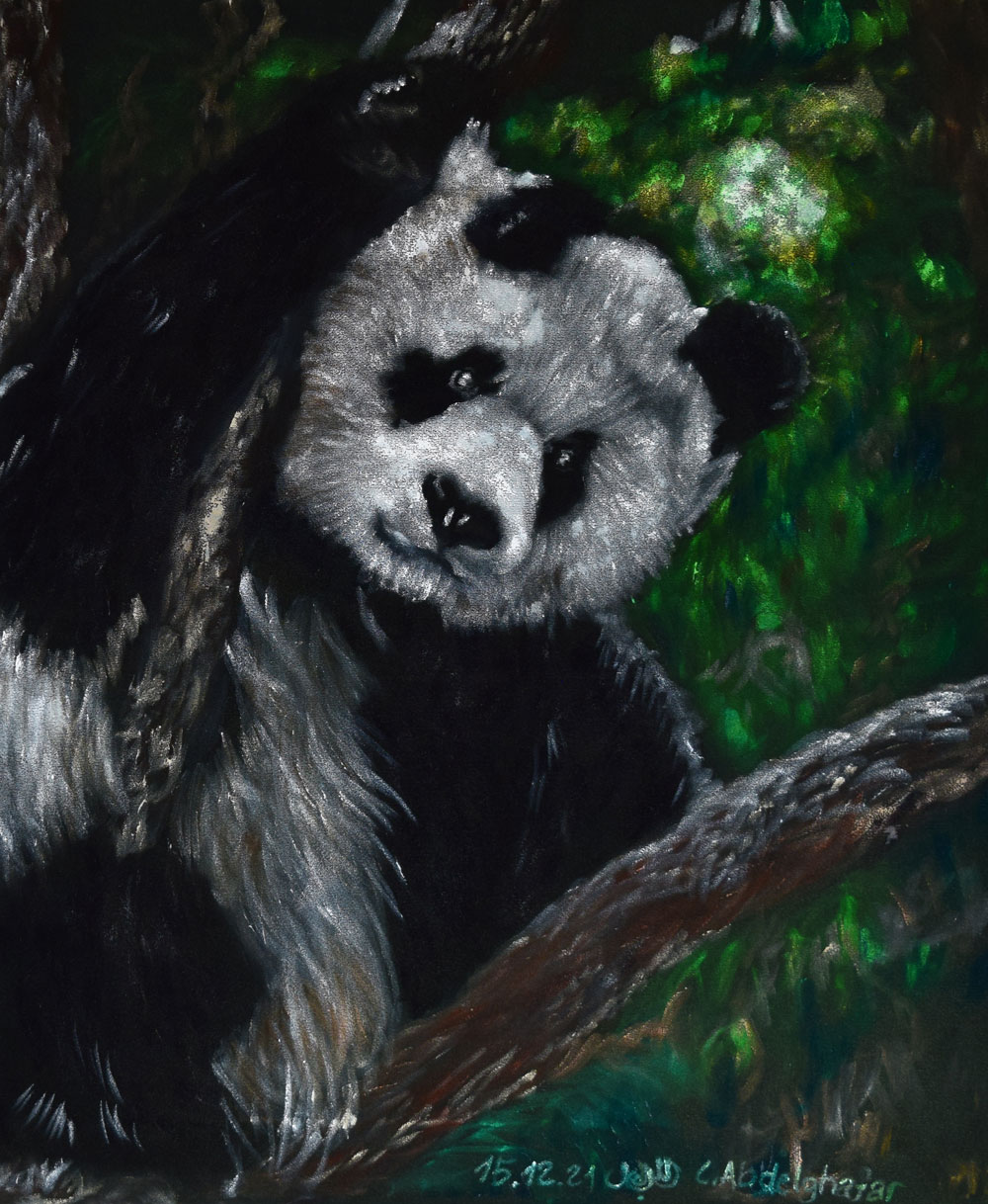 Panda Bear On Green Velvet-paintings Showflipper