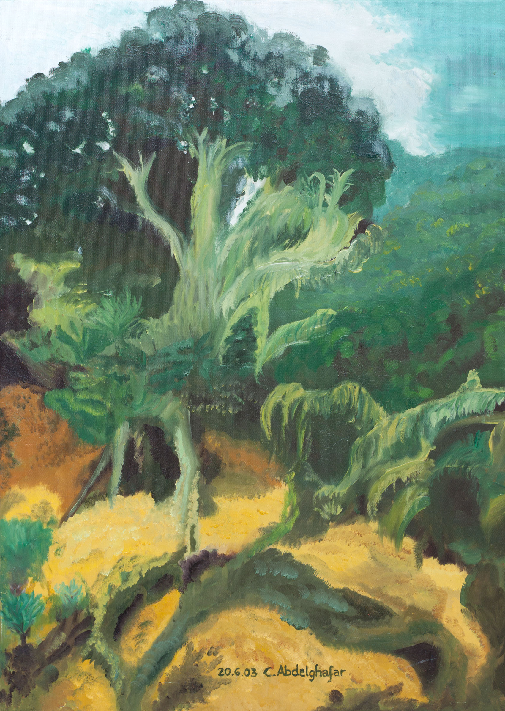 Tropical Forest-paintings Showflipper