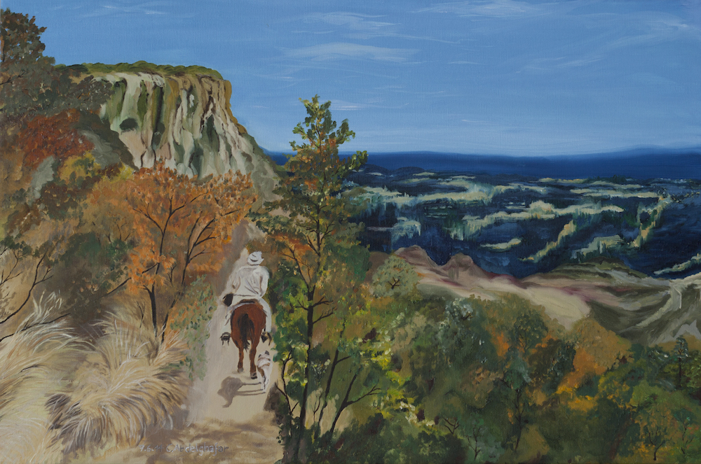 Mexico Tara Humara-paintings Showflipper