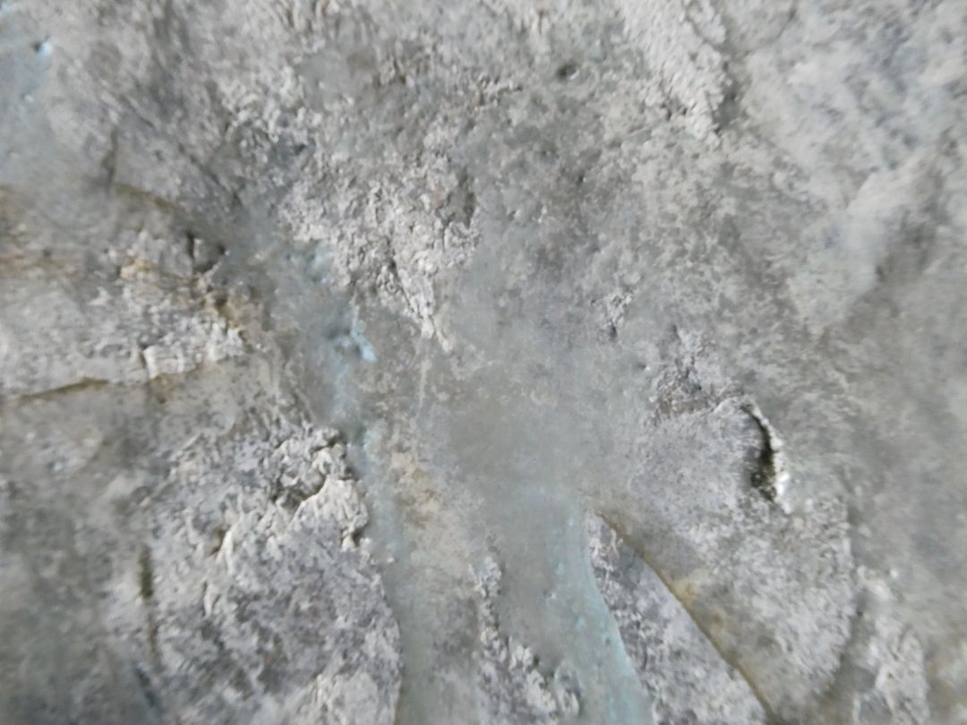 Art-paintings Showflipper