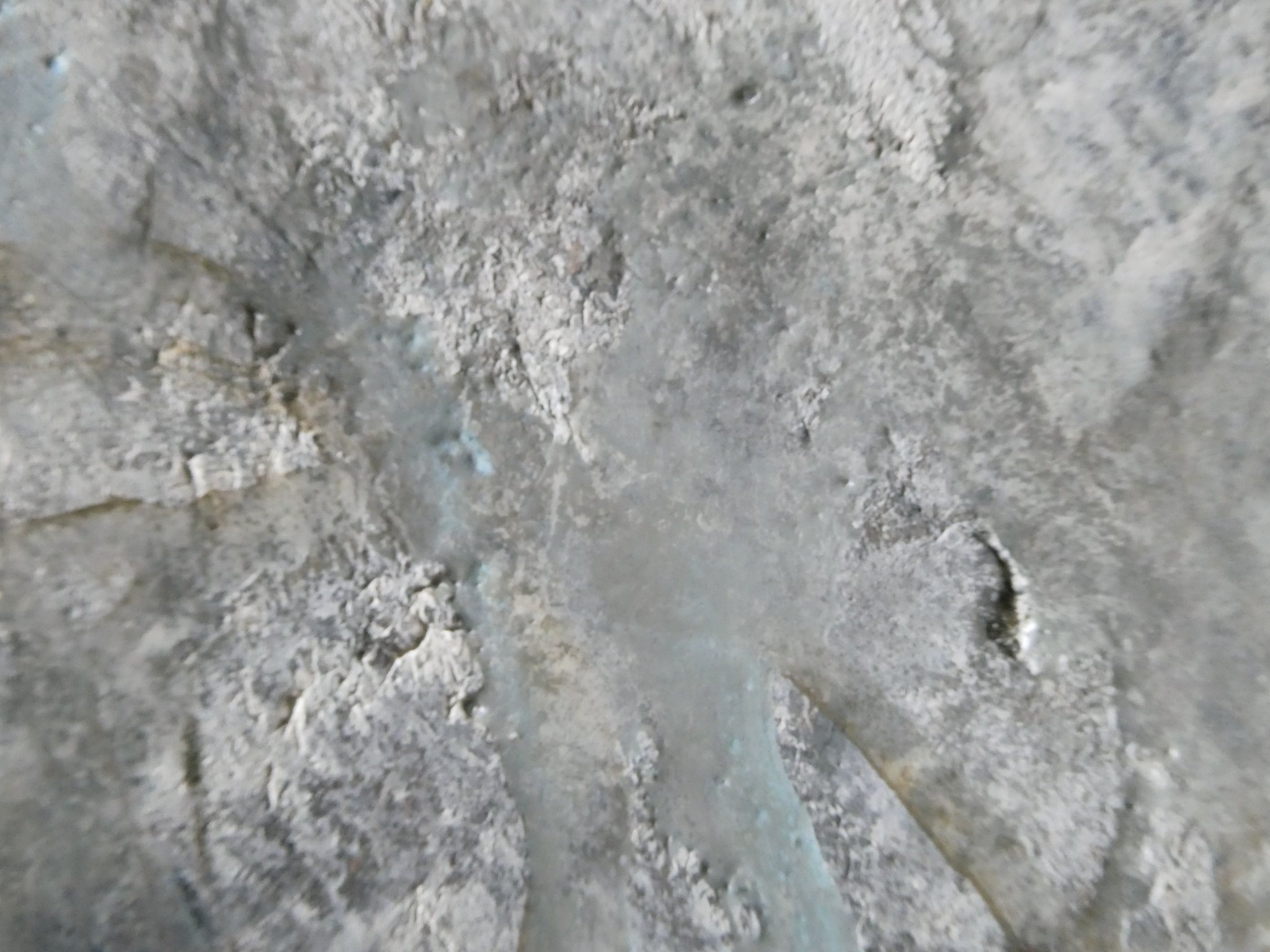 Fine Arts Painting, Buy Original Art Gallery, Paintings & More Online | Fine Art for Sale, Online Art Galleries