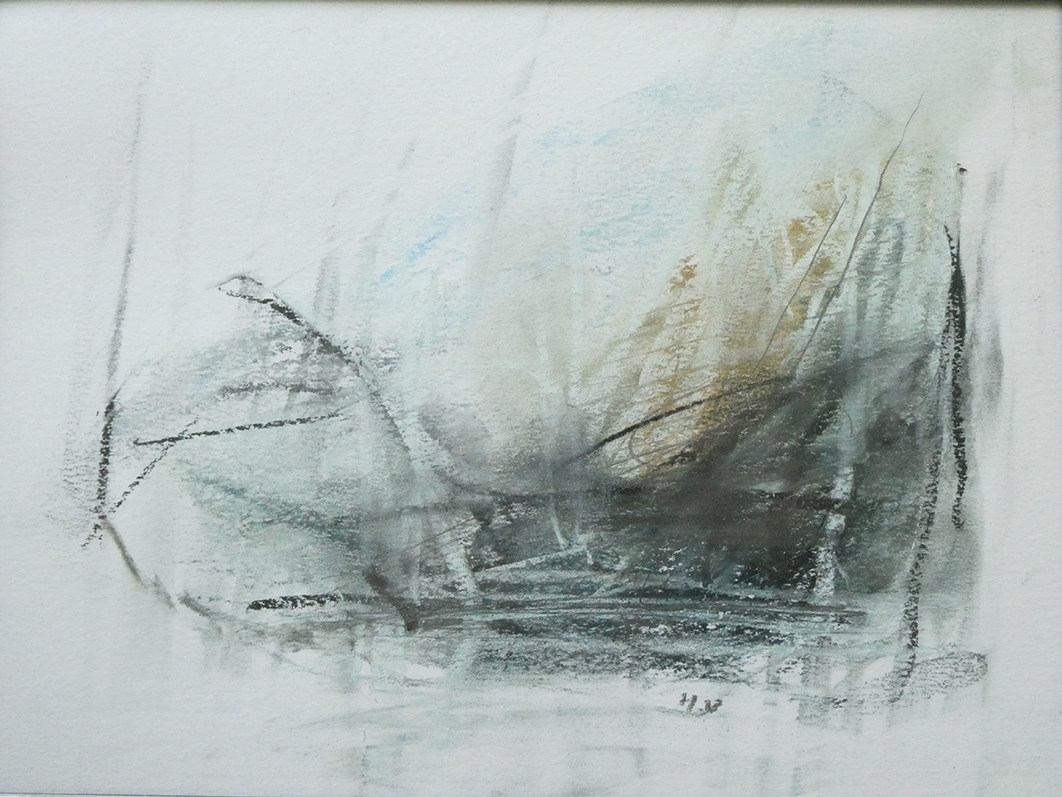 Henna Uoti Pastel-drawing Showflipper